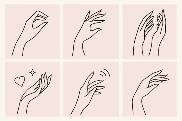 Elegant Hand Line Art Collection: Graphics & Illustrations