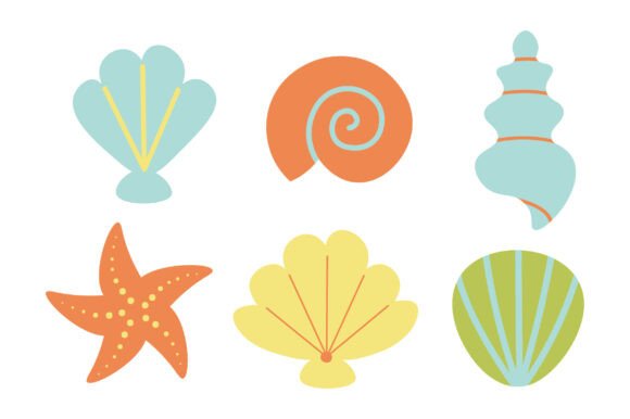 Textured Seashells Graphics & Illustrations